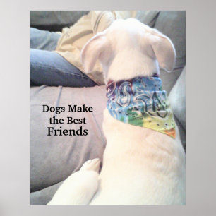 Foto van Cute White Puppy Dog die papa bekijkt Poster