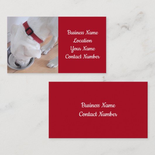 Foto van Cute White Puppy Dog Drink Water Red Visitekaartje (Voorkant / Achterkant)