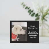 Foto van Cute White Puppy Dog Profile Thanksgiving Briefkaart (Staand voorkant)