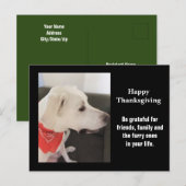 Foto van Cute White Puppy Dog Profile Thanksgiving Briefkaart (Voorkant / Achterkant)