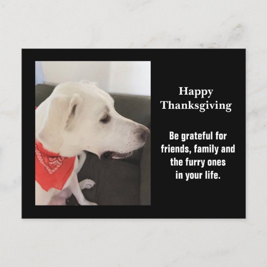 Foto van Cute White Puppy Dog Profile Thanksgiving Briefkaart (Voorkant)