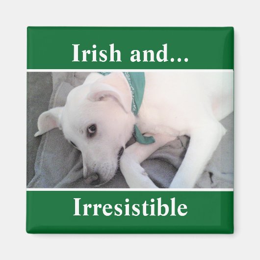 Foto van Cute White Puppy Dog St. Patrick's Day Magneet (Voorkant)