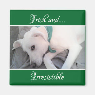 Foto van Cute White Puppy Dog St. Patrick's Day Magneet