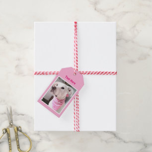 Foto van Cute White Puppy Dog Wearing Pink Scarf G Cadeaulabel