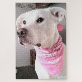 Foto van Cute White Puppy Dog Wearing Pink Scarf Legpuzzel