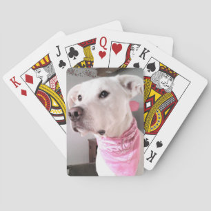 Foto van Cute White Puppy Dog Wearing Pink Scarf Pokerkaarten