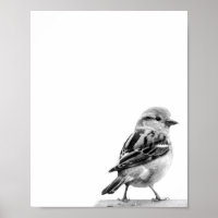Foto van Cute Wild Bird