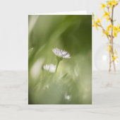 foto van Daisy Blossom natuur Kaart (Gele Bloem)
