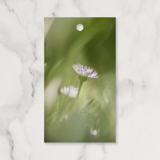 foto van Daisy natuur Cadeaulabels (Achterkant)