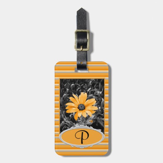 Foto van de Afrikaanse Daisy en voorzijde van het  Bagagelabel (Voorkant verticaal)