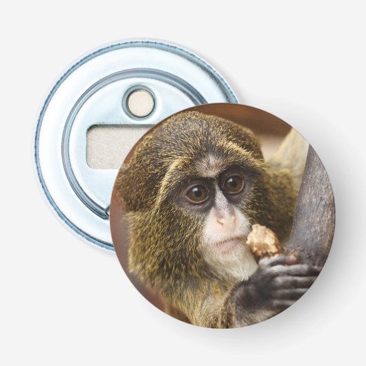 Foto van de apenklimboom button flesopener (Voorkant)