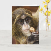 Foto van de apenklimboom kaart (Gele Bloem)