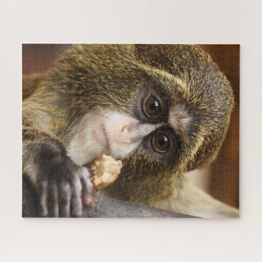 Foto van de apenklimboom legpuzzel (Horizontaal)