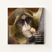 Foto van de apenklimboom notitieboek (Achterkant)