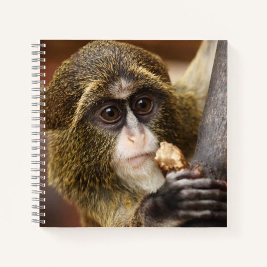 Foto van de apenklimboom notitieboek (Voorkant)