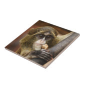 Foto van de apenklimboom tegeltje (Zijkant)