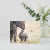Foto van de baby van de liefhebber van de olifant briefkaart (Staand voorkant)