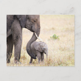 Foto van de baby van de liefhebber van de olifant briefkaart