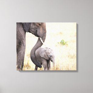 Foto van de baby van de liefhebber van de olifant canvas afdruk