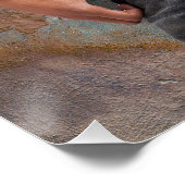 Foto van de bengele borst van man poster (Hoek)