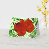 Foto van de Bloem van twee de Oosterse Papavers Kaart (Gele Bloem)