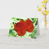 Foto van de Bloem van twee de Oosterse Papavers Kaart (Gele Bloem)