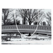 Foto van de boog van het centrale park groot cadeauzakje (Achterkant)