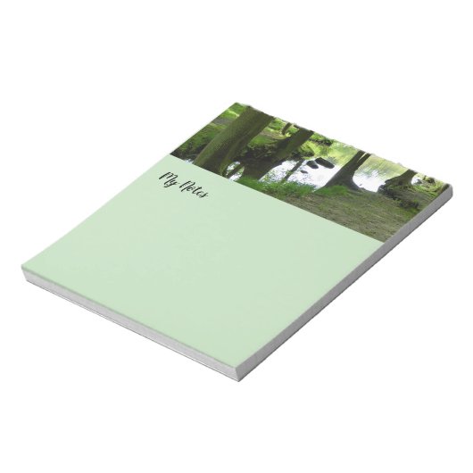 foto van de bosomgeving notitieblok (Linkerzijde)