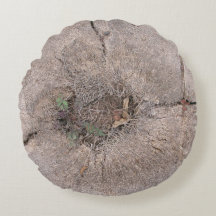 Foto van de botanische snijpalm