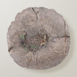 Foto van de botanische snijpalm rond kussen