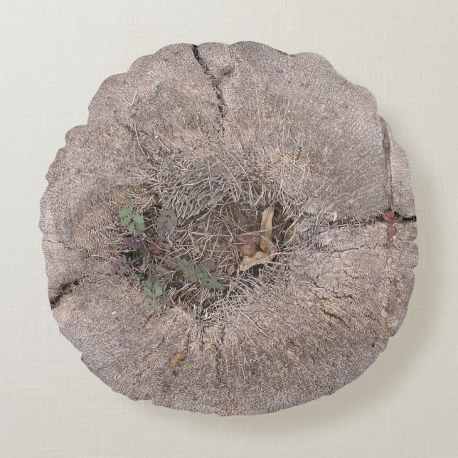 Foto van de botanische snijpalm rond kussen (Voorkant)