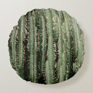 Foto van de close-up plant Green Cactus Rond Kussen
