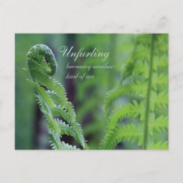 Foto van de close-up van het fern leaf CC0191-Natu Briefkaart