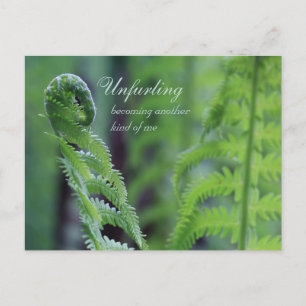 Foto van de close-up van het fern leaf CC0191-Natu Briefkaart