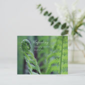 Foto van de close-up van het fern leaf CC0191-Natu Briefkaart (Staand voorkant)