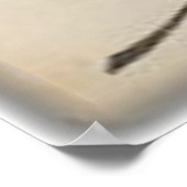 foto van de coylage van de wilde buffalo-rekening poster (Hoek)