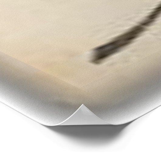 foto van de coylage van de wilde buffalo-rekening poster (Hoek)