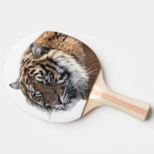 Foto van de dierentuin van het tijgerdier tafeltennisbatje (Zijkant)