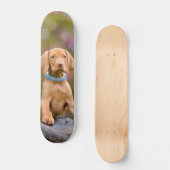 Foto van de duivenpoppyeverige Hongaarse Vizsla Do Skateboard (Voorkant)