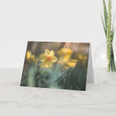 Foto van de Gele Bloem Daffodil Natuur Kaart (Voorkant)