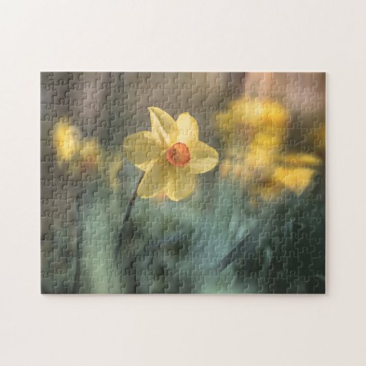 Foto van de Gele Bloem Daffodil Natuur Legpuzzel (Horizontaal)