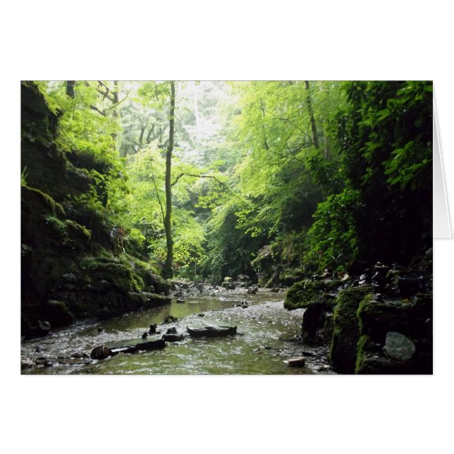 Foto van de Glen Cornwall van St. Nectan (Voorkant Horizontaal)