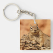 Foto van de grote eekhoorn gekoeld sleutelhanger (Voorkant)