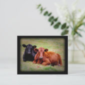 Foto van de hengelbots briefkaart (Staand voorkant)