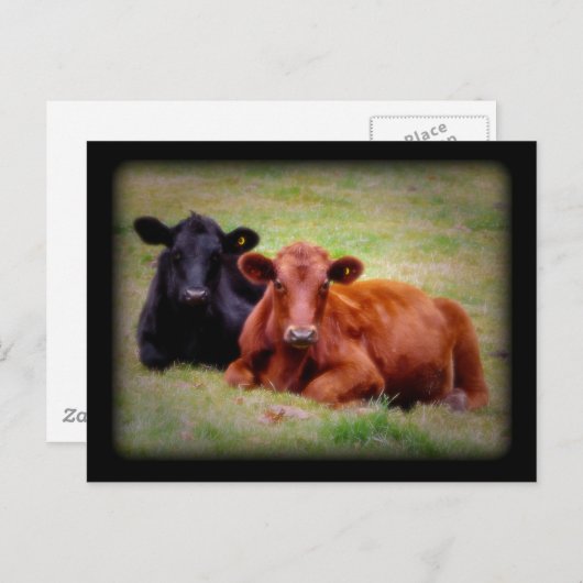 Foto van de hengelbots briefkaart (Voorkant / Achterkant)