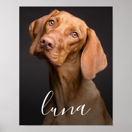 Foto van de hond Gepersonaliseerde naam Poster (Voorkant)