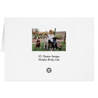 Foto van de hond in de trommel, pet onder de douch