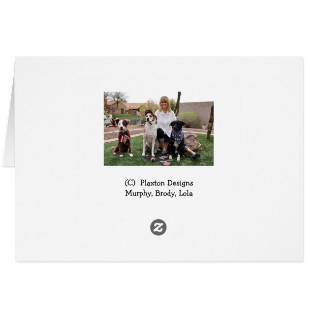 Foto van de hond in de trommel, pet onder de douch (Achterkant Horizontaal)