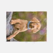 Foto van de Hongaarse Vizsla Dog Puppy Fleece Deken (Voorkant (Horizontaal))