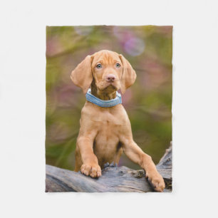 Foto van de Hongaarse Vizsla Dog Puppy Fleece Deken
